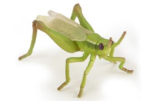 Figurine Lucane